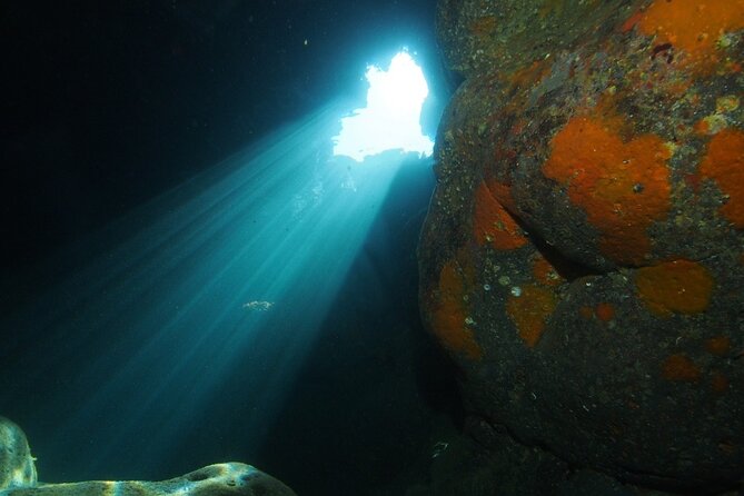 2 Dives from Diving Center (with full equipment) - What the 9:00 am Start Really Means for Your Day