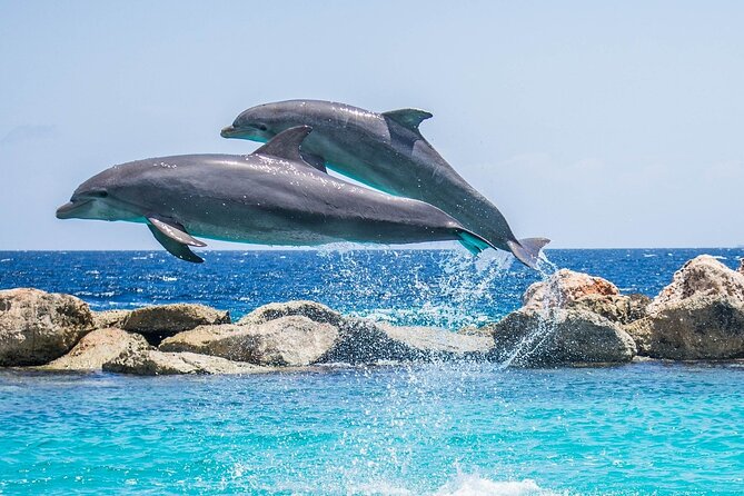 2-Hour Dolphin Sunset Tour from Giardini Naxos - Sunset and Dolphins: why this timing works in Giardini Naxos