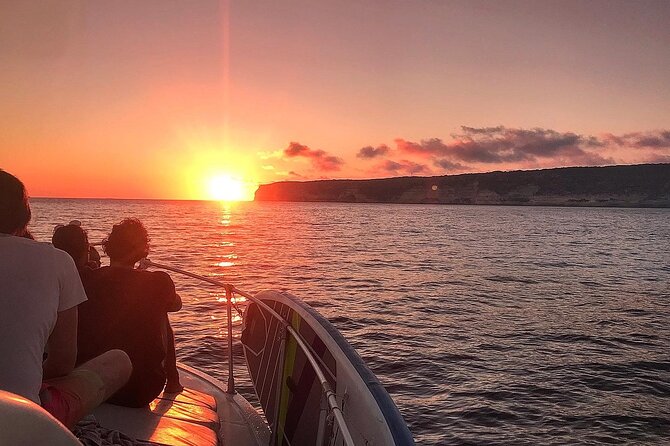 3-Hour Dolphin watching at sunset with aperitif - The night swim under the stars: the “okay, wow” moment