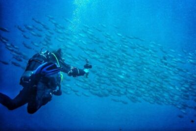 3-Hour Try Scuba Private Guided Sea Baptism from Palermo - Instructors, Support, and Feeling Safe Under Supervision