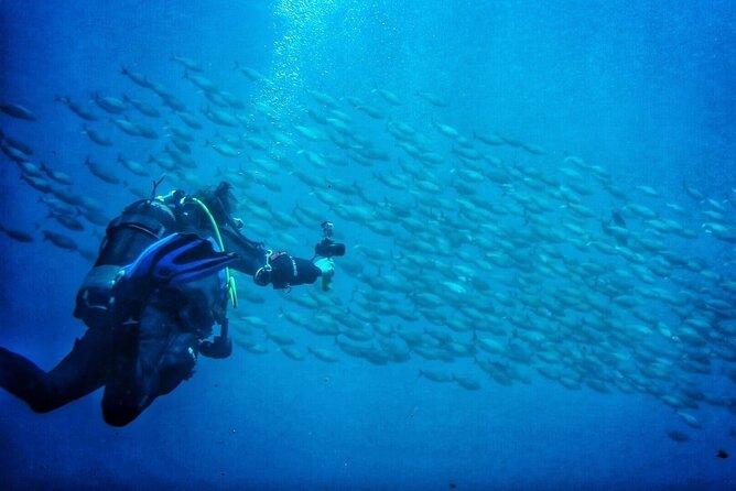 3-Hour Try Scuba Private Guided Sea Baptism from Palermo - Instructors, Support, and Feeling Safe Under Supervision