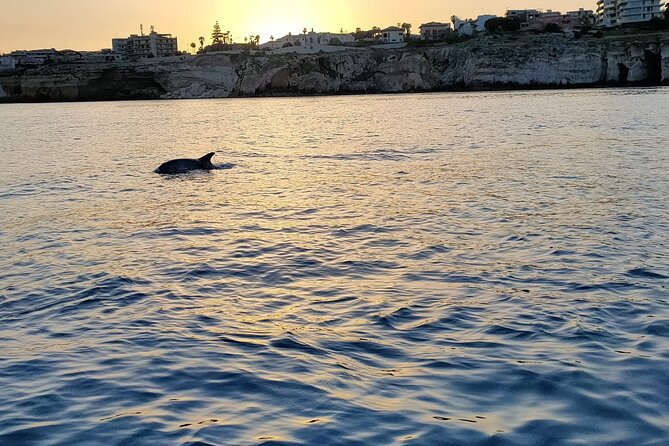 3 Hours Private Boat Tour of the Island of Ortigia with Aperitif - Maniace Castle from the water: Frederick-era views that land fast
