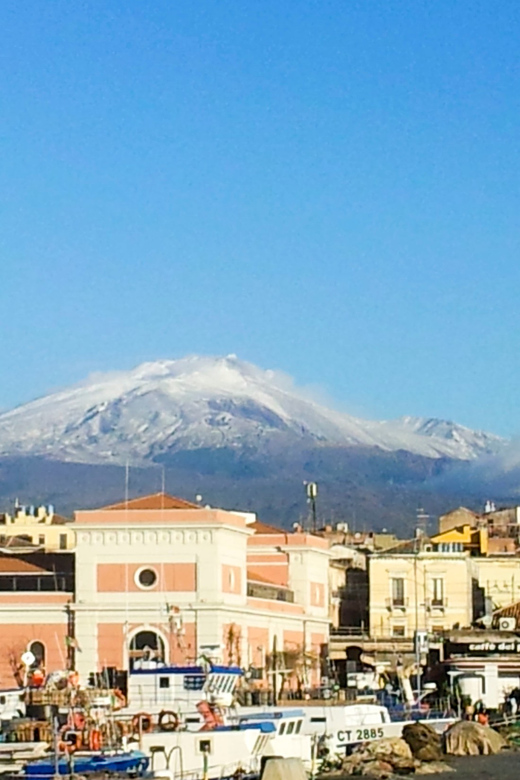 6-Hour Mount Etna Excursion - Pickup, Car Comfort, and the Small-Group Advantage