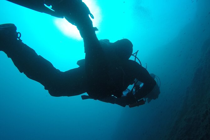 Aci Castello Immersioni per Subacquei Brevettati - Practical Tips That Improve Your Day
