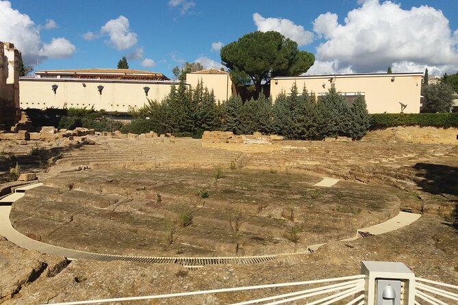 Agrigento and Piazza Armerina day tour - Pickup and road time: how the minivan day works