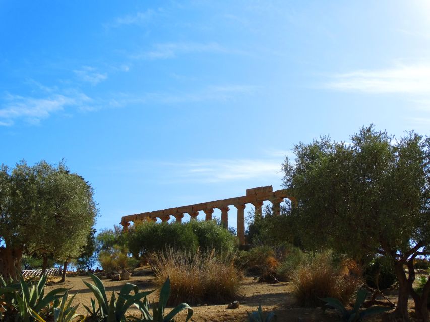 Agrigento: Private Tour of Ancient Akragas with Local Guide - Practical logistics you’ll want to know upfront