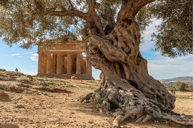 Agrigento to Siracusa with Valley of Temples and Roman Villa Trip - Driver and Group Experience: Small Numbers, Smooth English, Cold Water
