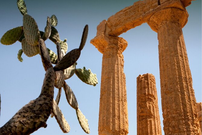 Agrigento to Siracusa with Valley of Temples and Roman Villa Trip - Price and Value: Why $307.56 Feels Reasonable (and Where It Doesn’t)