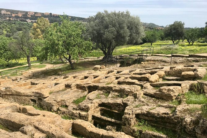 AGRIGENTO - VALLEY OF TEMPLES Private Tour with Guide Driver - Who This Tour Fits Best (and Who Might Want Another Plan)