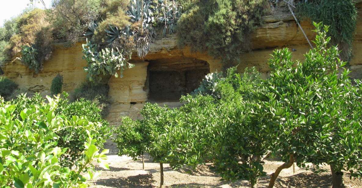 Agrigento Valley of the Temples and Kolymbethra Private Tour - Where Agrigento’s Temples Fit in Sicily (and why the guide matters)