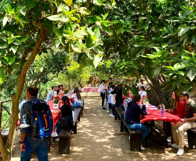 Agrigento: Valley of the Temples Gardens Picnic Experience - Food and hosts: quality, warmth, and what to watch for