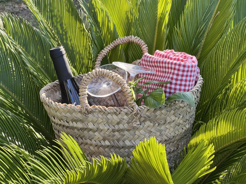 Agrigento: Valley of the Temples Gardens Picnic Experience - The garden walk: hypogea, finds, and doing it your way