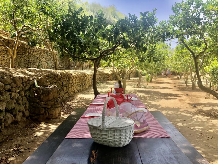 Agrigento: Valley of the Temples Gardens Picnic Experience - Who should book this picnic