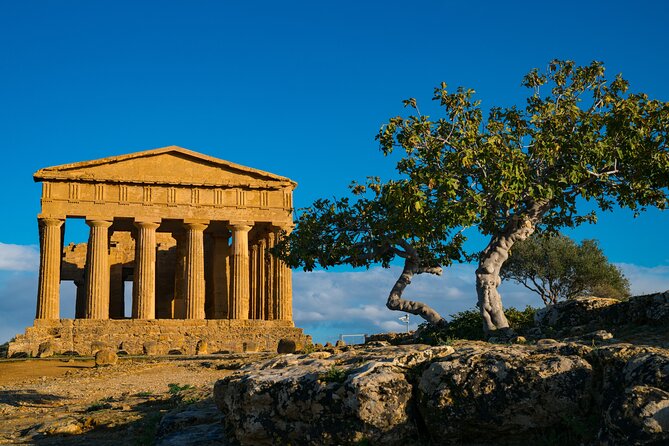Agrigento Valley of the Temples Private Archeological Guided Tour - Price and Value: What You’re Paying For (Beyond Temple Tickets)