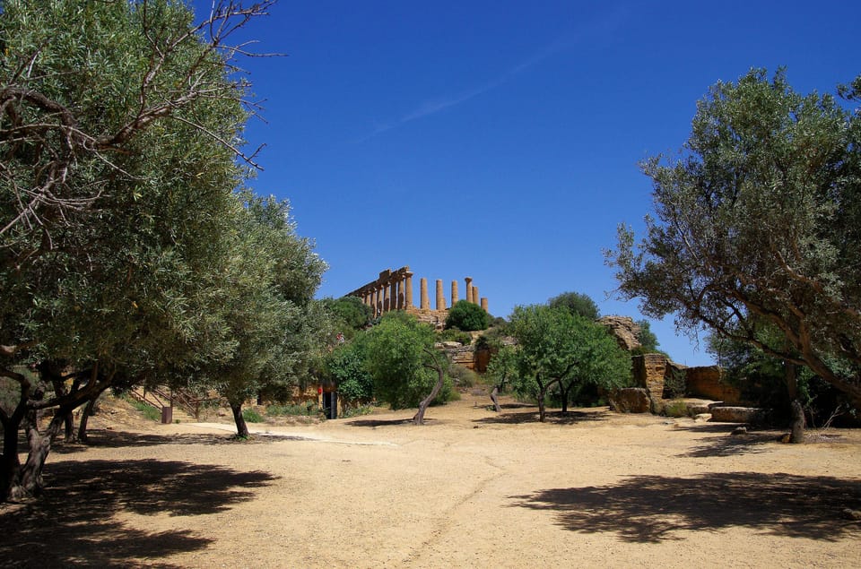 Agrigento: Valley of the Temples Private Archeological Tour - Olympian Zeus fragments: imagining what you can’t fully see