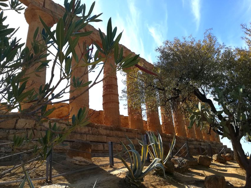 Agrigento: Valley of the Temples Private Tour - Temple of Juno (Hera Lacinia): The Big Doric Start