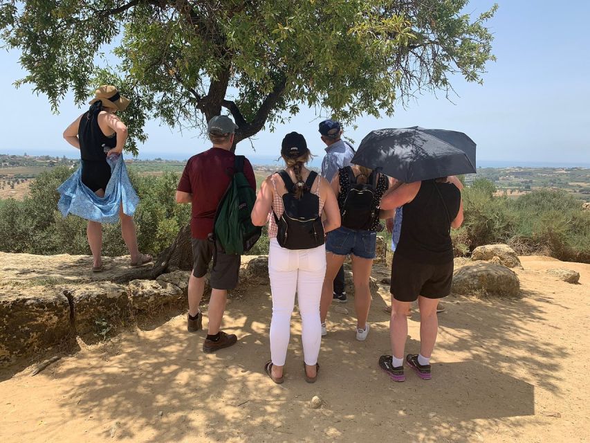 Agrigento: Valley of the Temples Tour Skip-the-Line Entry - Price and Value: Is $54.66 Worth It?