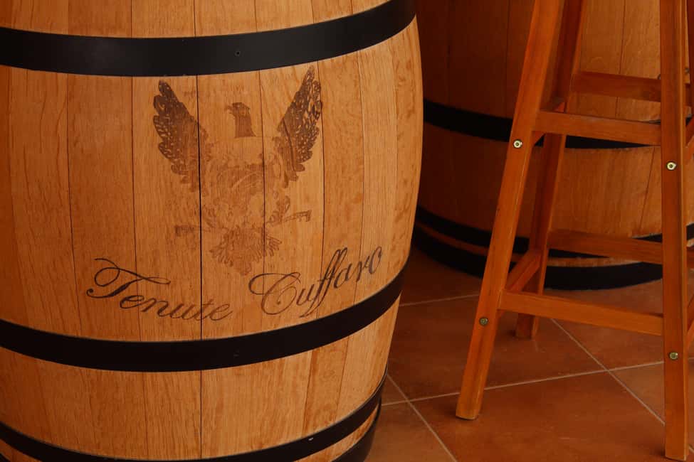 Agrigento: Wine tasting and walk in the vineyards. - Vineyard walk and tasting: the real center of the experience