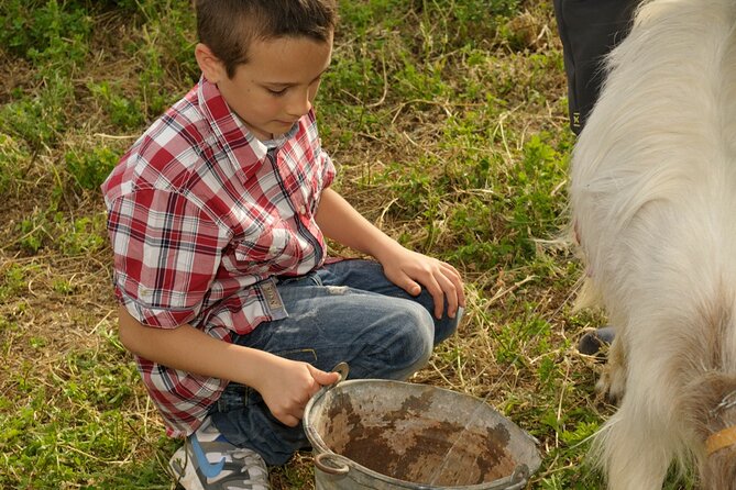 Alcamo Farm Animals and Aromatic Garden - Should You Book the Alcamo Farm Animals and Aromatic Garden Tour?