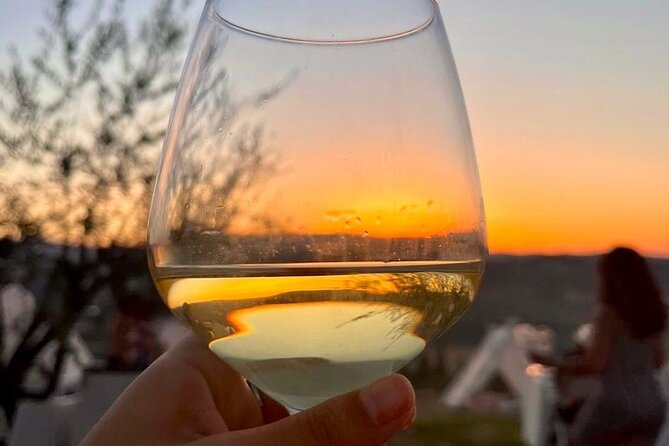 Balestrate Olive Grove Tour: Wine and Olive Oil Tasting - Who Francesco’s story is for (and who may not love it)
