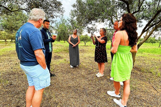 Balestrate Olive Grove Tour: Wine and Olive Oil Tasting - Final thoughts: should you book this olive oil and wine tasting?