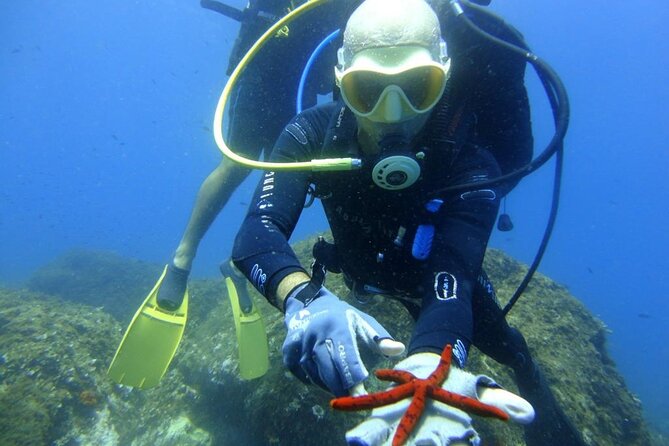 Basic Scuba Diver - Classroom Theory: Standards First, Then Skills