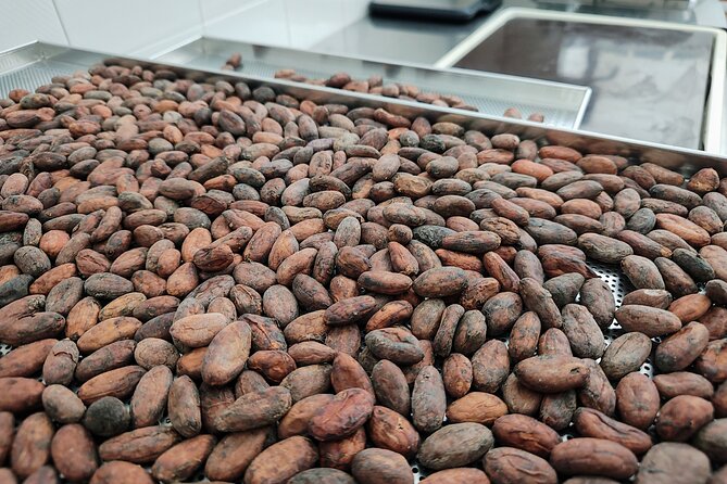 Become a chocolatier for a day, in Modica raw chocolate - Why Modica Alta’s Raw Chocolate Workshop Feels Different
