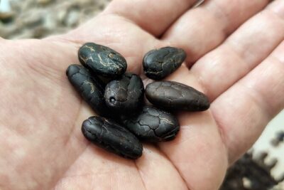 Become a chocolatier for a day, in Modica raw chocolate - From Cocoa Beans to Raw Chocolate Bars