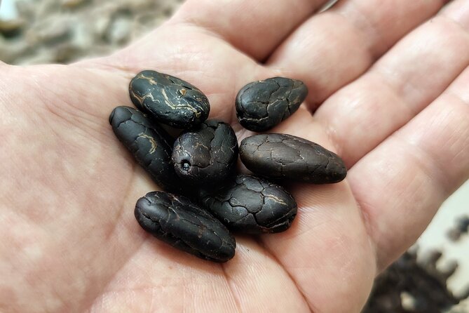 Become a chocolatier for a day, in Modica raw chocolate - From Cocoa Beans to Raw Chocolate Bars