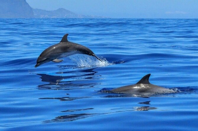 Boat tour Giardini Naxos Taormina Isola Bella Blue Grotto - On Board With Kristal Boat: Comfort, Crew Energy, and Drinks