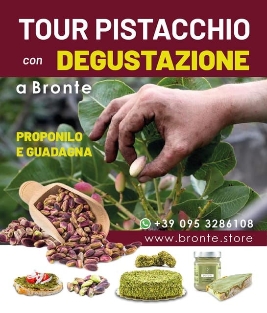 Bronte: Tour e degustazione nelle piantagioni di pistacchi - Price and Value: Is $58 Worth It?