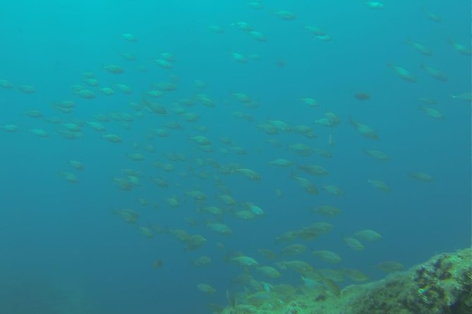 Bubble maker (scuba diving for children) - Key highlights at a glance