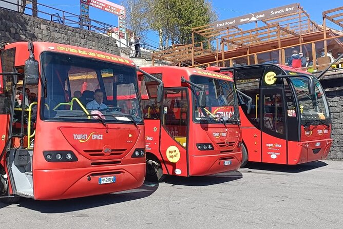 Bus Etna Experience of Italy - Who this Etna bus tour fits best
