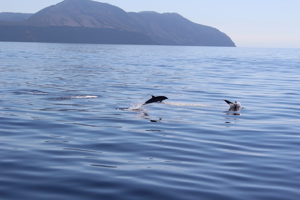 Capo D'Orlando: Salina, Panarea, Stromboli Tour with Boat - Faraglioni and colorful sea moments: the cruise views you don’t want to sleep through