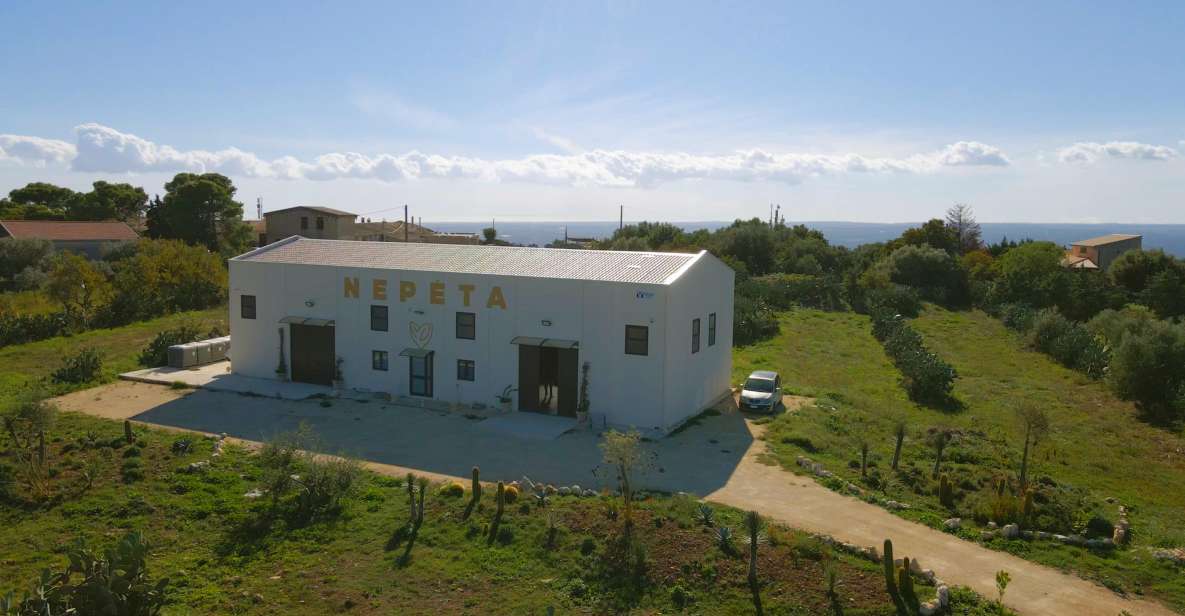 CASA NEPETA: Botanical Walk, Amari Production, and Tasting - Botanical walk with nepitella, marjoram, and wild thyme