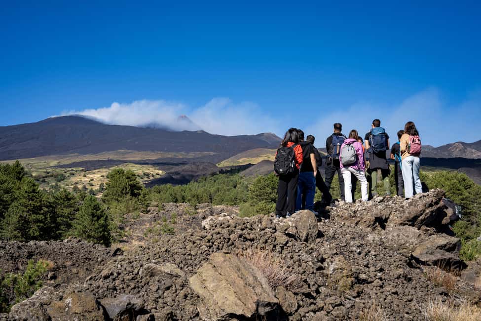 Catania: Amazing Etna Morning Tour with Pickup and Drop-Off - Who this tour suits (and who should skip it)