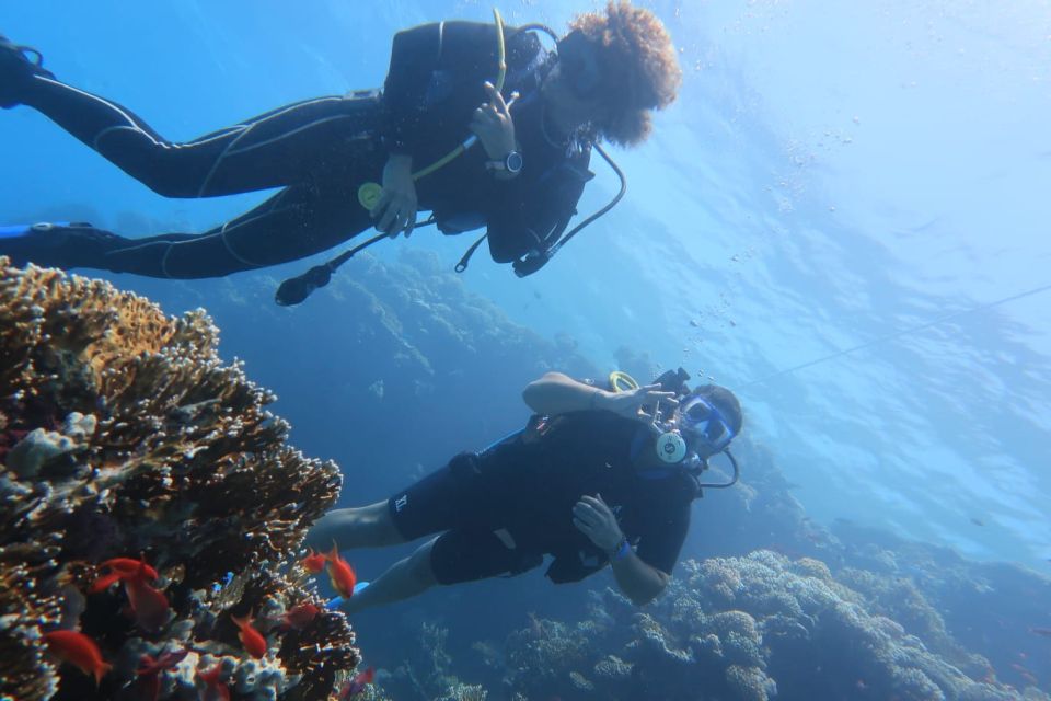 Catania : Diving for patented divers - Languages and on-the-day communication