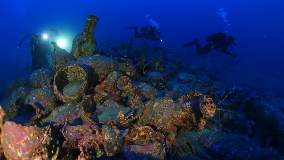 Catania : Diving for patented divers - Underwater highlights: fish, plants on rocks, unusual shells, and stingrays