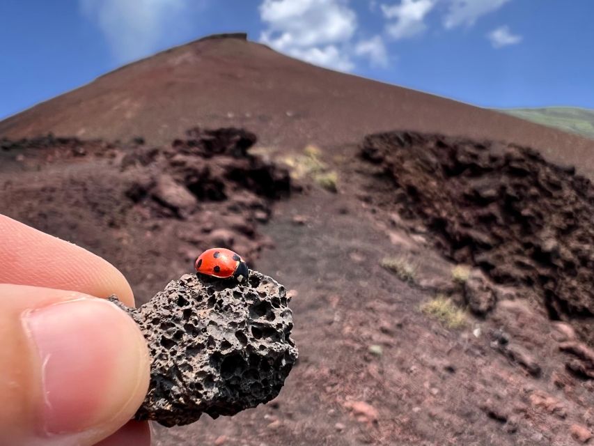Catania: Etna Morning Excursion with Tasting and Pickup - Silvestri Craters at about 2,000 m: soft trekking with big color payoff