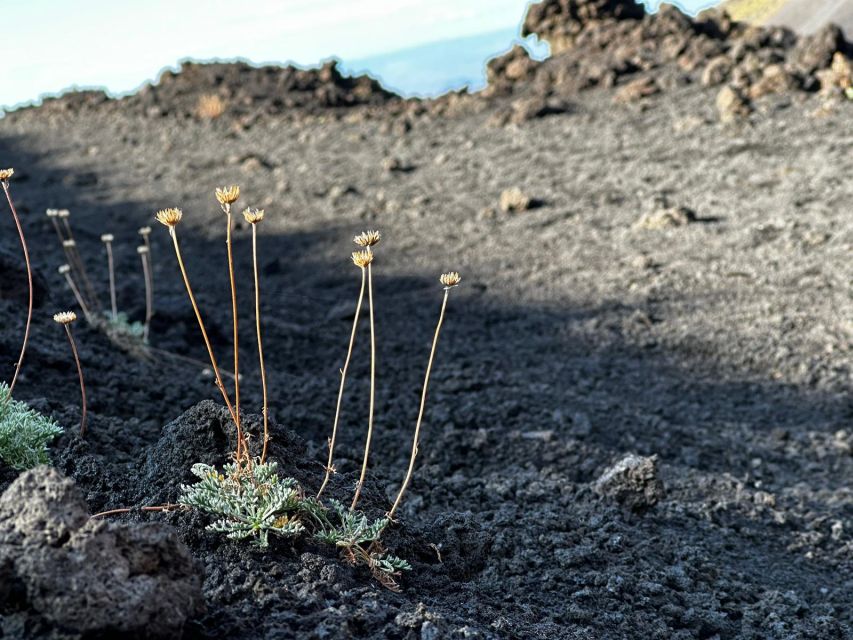 Catania: Etna Morning or Sunset Trek with Lava Tunnel & Gear - Up to ~2,100 meters: cold wind, smart layers, and why your body feels it