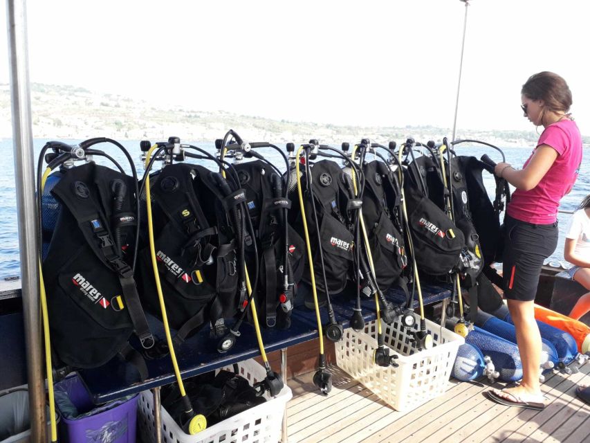 Catania: Gulf Scuba Diving Tour with Marine Biologist - Practical Tips for Your Day in Catania