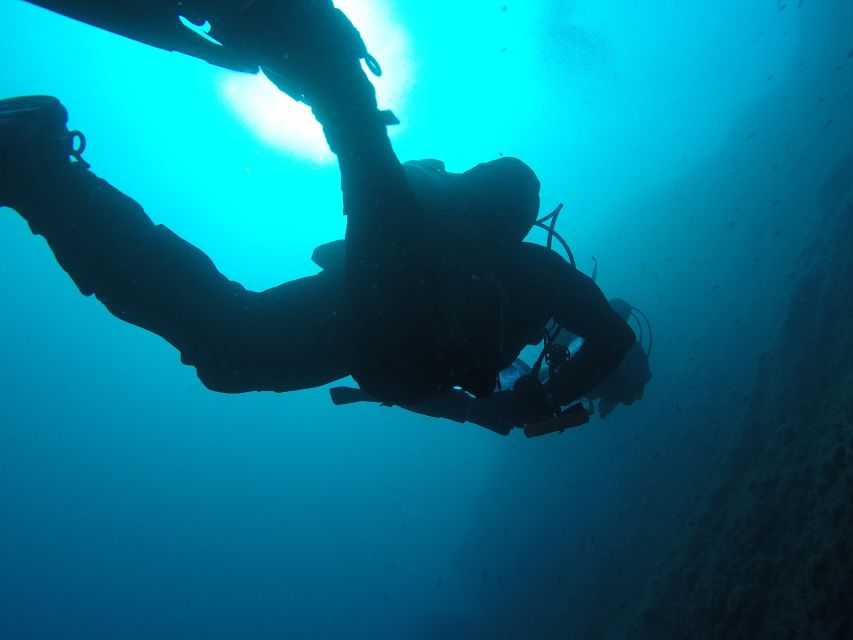 Catania: Gulf Scuba Diving Tour with Marine Biologist - Small Groups and Attention to Detail (The Value Part of $82)