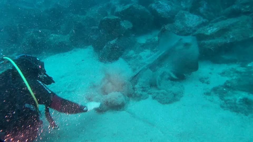 Catania: Gulf Scuba Diving Tour with Marine Biologist - Health and Suitability: Who Should Rethink This Plan