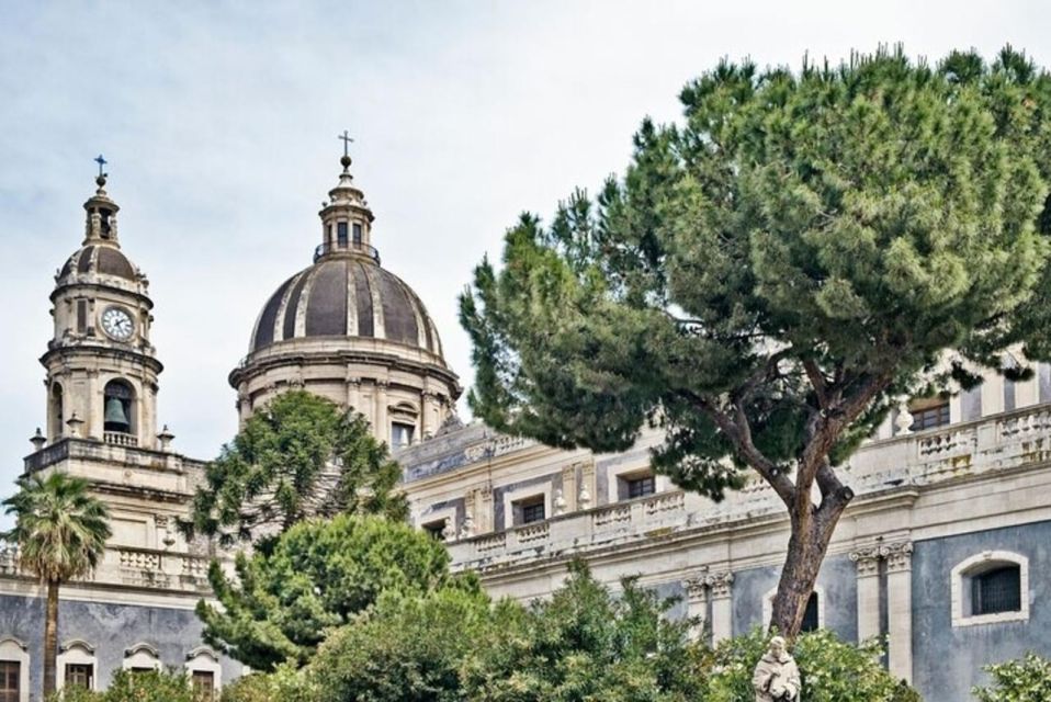 Catania Highlights Walking Tour With A Guide - Who this Catania Highlights Walking Tour is best for