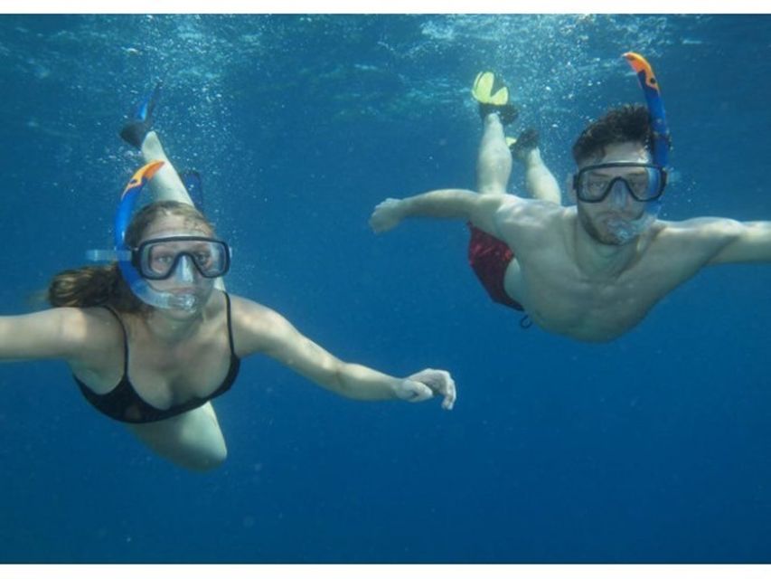 Catania, Isole Ciclopi: Snorkeling Trip - Key points to know before you go