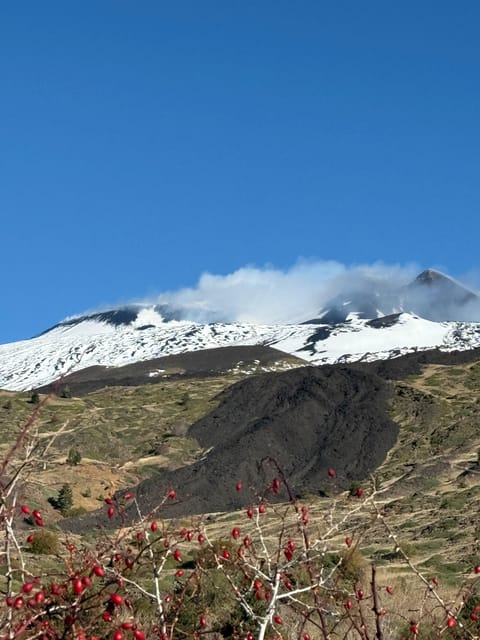 Catania: Morning Jeep Tour of Mount Etna and Lava Flow Caves - Pace and who this tour suits (and who should choose carefully)