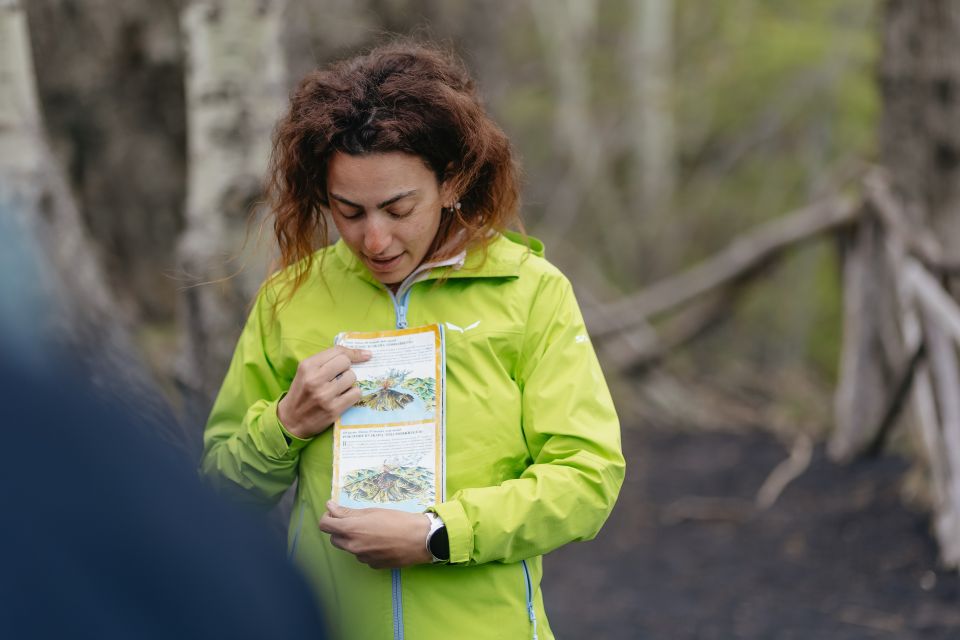 Catania: Mount Etna Morning or Sunset Day Trip with Tasting - Up to 2,000 meters: what the crater walk really feels like
