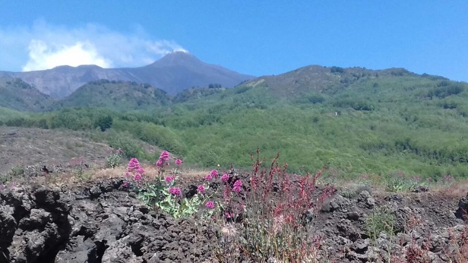 Catania: Mount Etna Sunset Tour and Etna Doc Wine - Zafferana Etnea and the SP92 road across old lava (the lesson begins)
