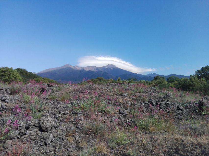 Catania: Mount Etna Sunset Tour and Etna Doc Wine - Valle del Bove / Ox Valley: where scale becomes real