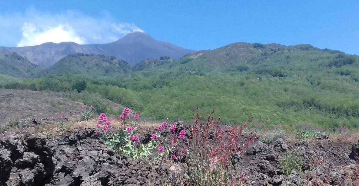 Catania: Mount Etna Sunset Tour and Etna Doc Wine - Silvestri Craters on the south side: lunar ground and a real walk